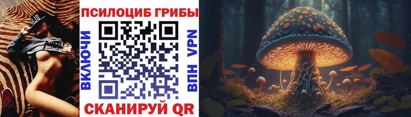 Псилоцибиновые грибы Psilocybine cubensis Томмот